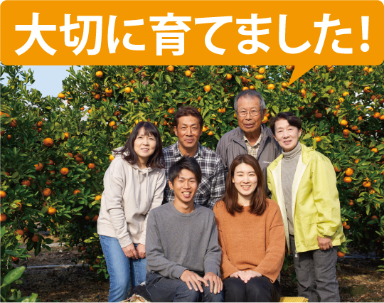 宗兵衛みかん